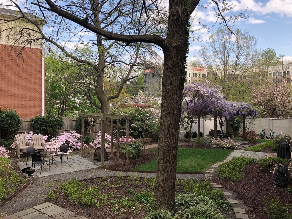 A garden with a brick building in the background and a tree in the foreground.