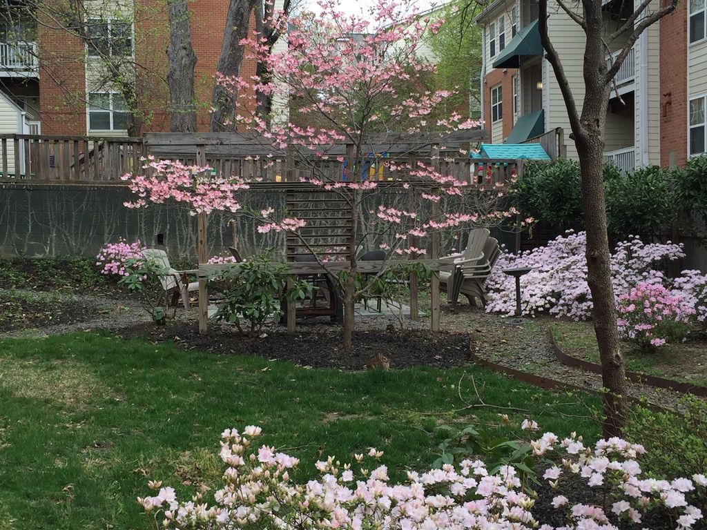 A park with a bench and chairs surrounded by pink flowers.