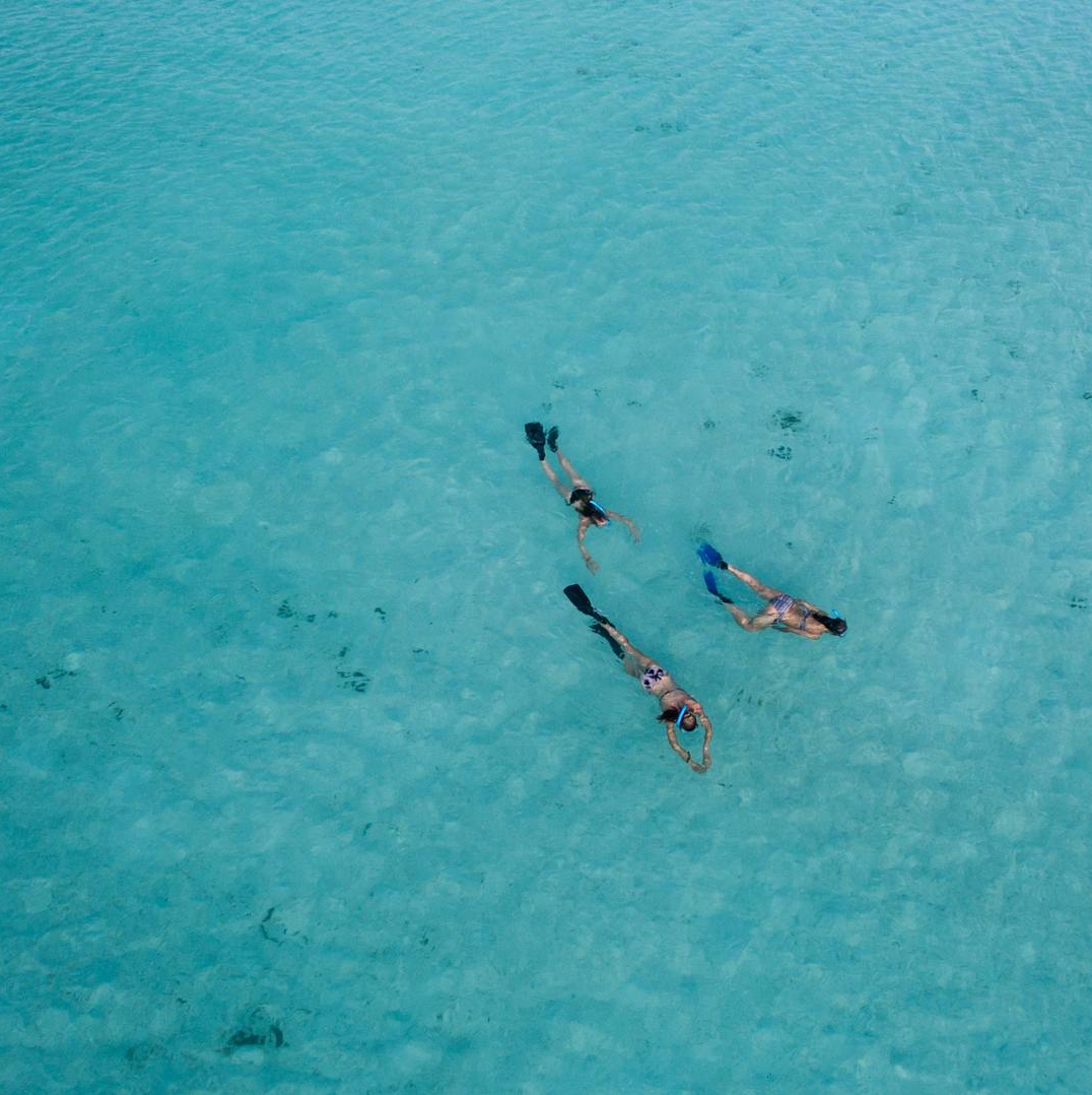 A group of snorkelers in turquoise waters