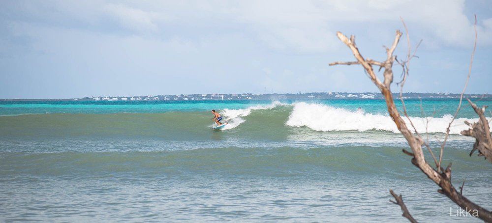 A person is riding a wave on a surfboard in the ocean.