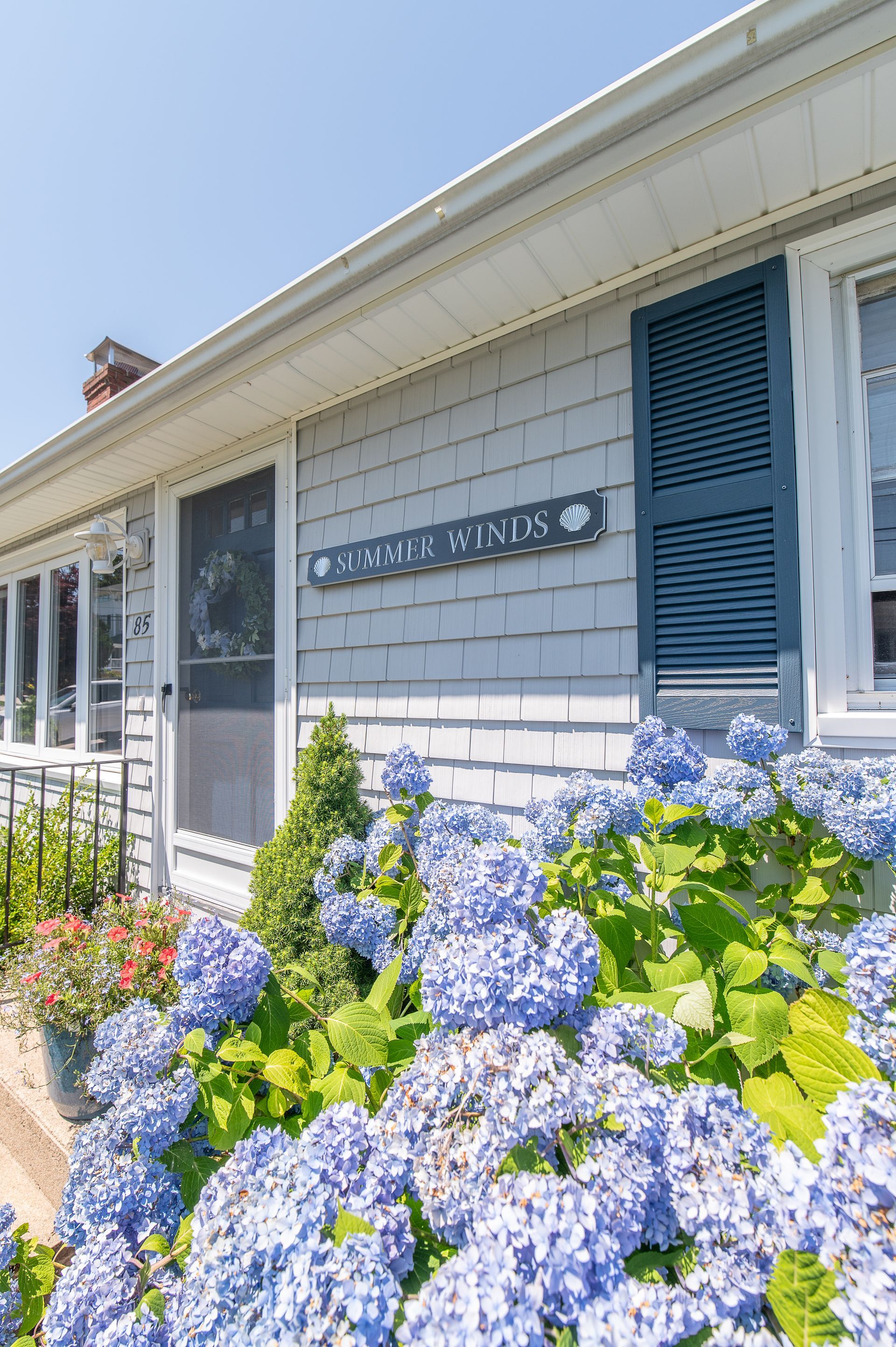 A white house with blue flowers in front of it.