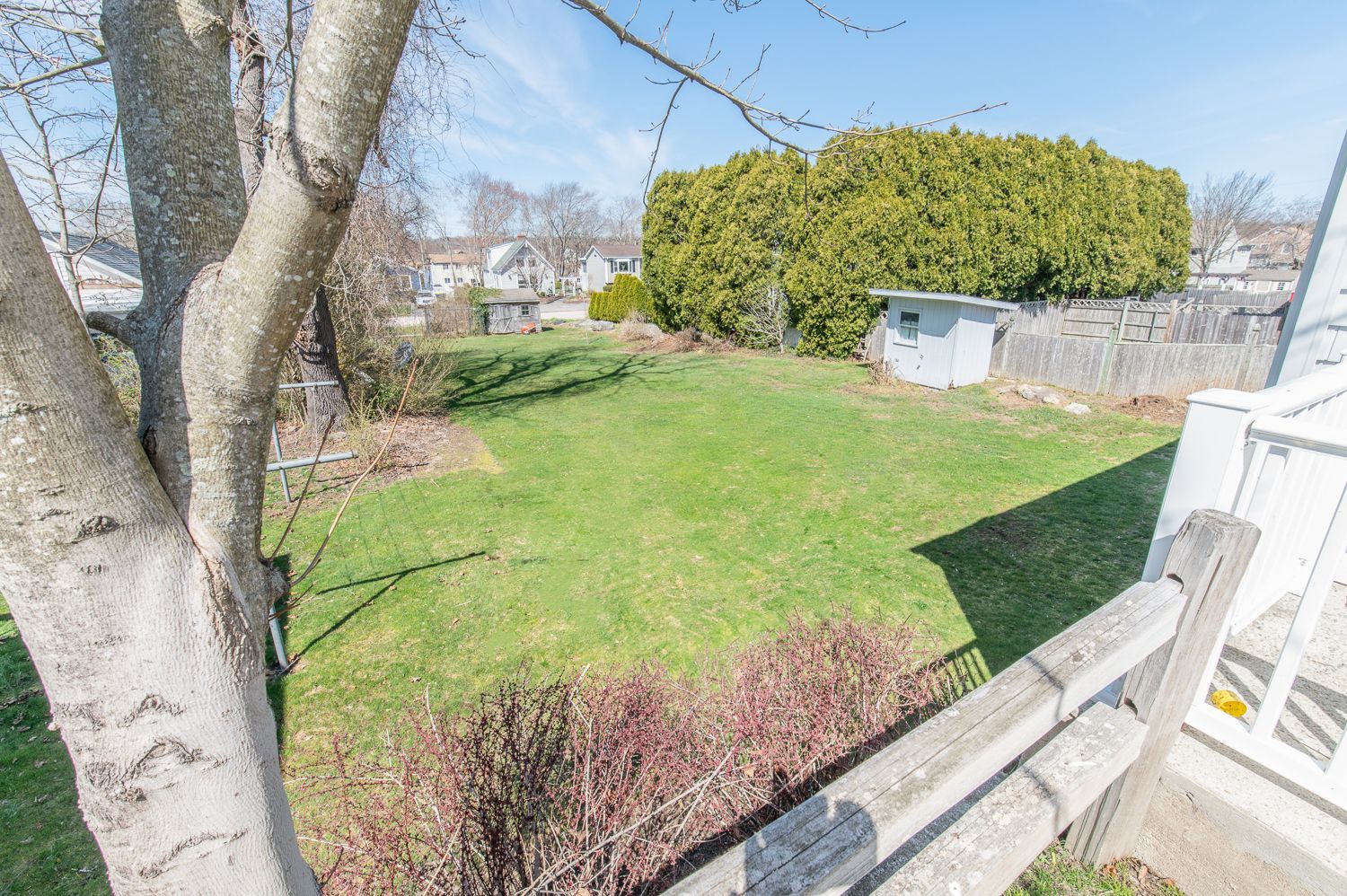 There is a tree in the foreground and a fence in the background.