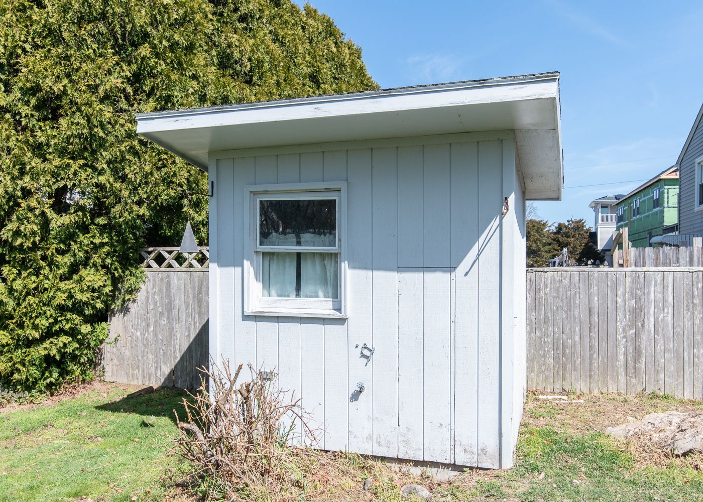 A small white shed with a window in the backyard.