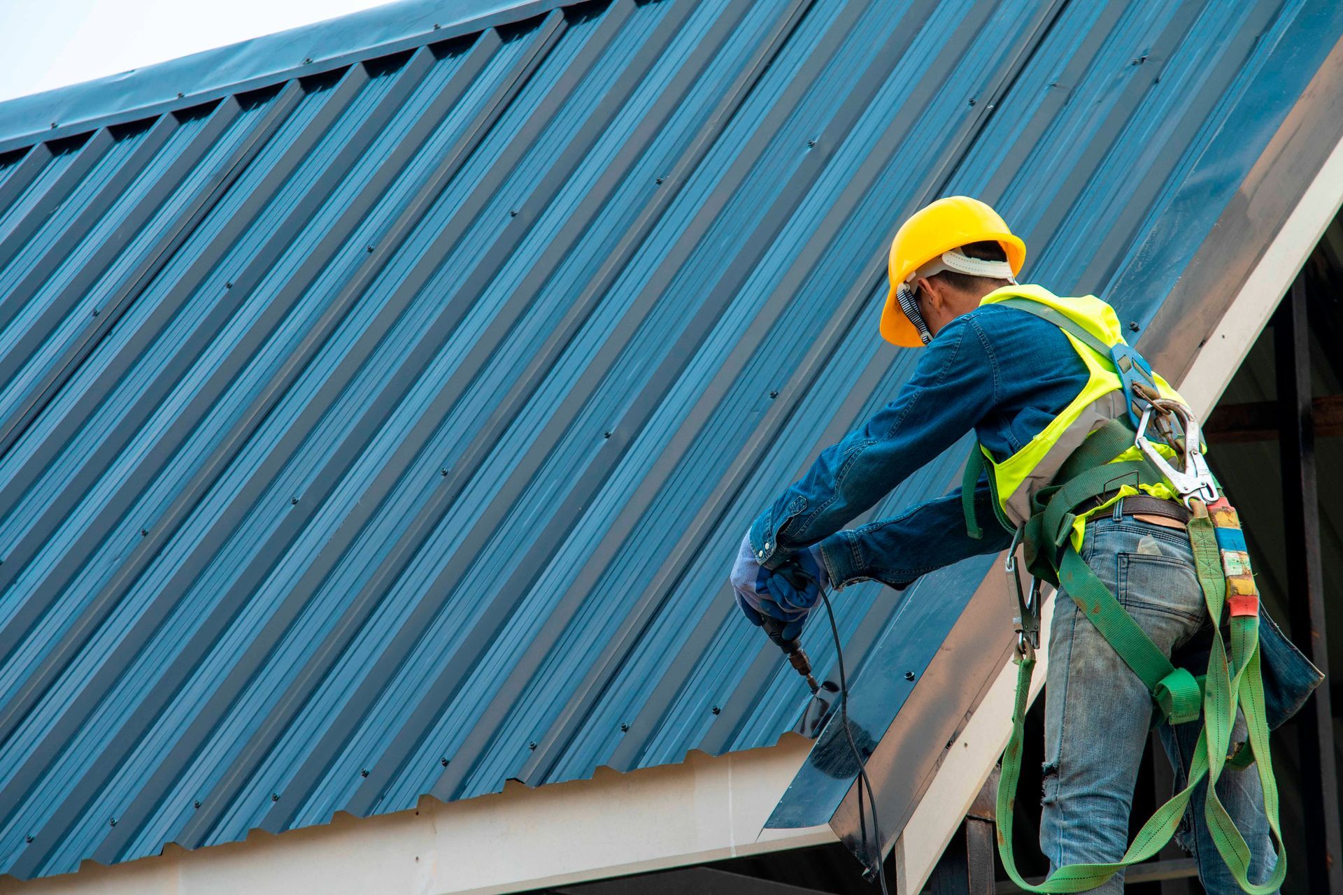 Scène de forêt enneigée. Bouleaux argentés aux branches dénudées se détachant sur un fond de pins verts sous un ciel bleu clair.