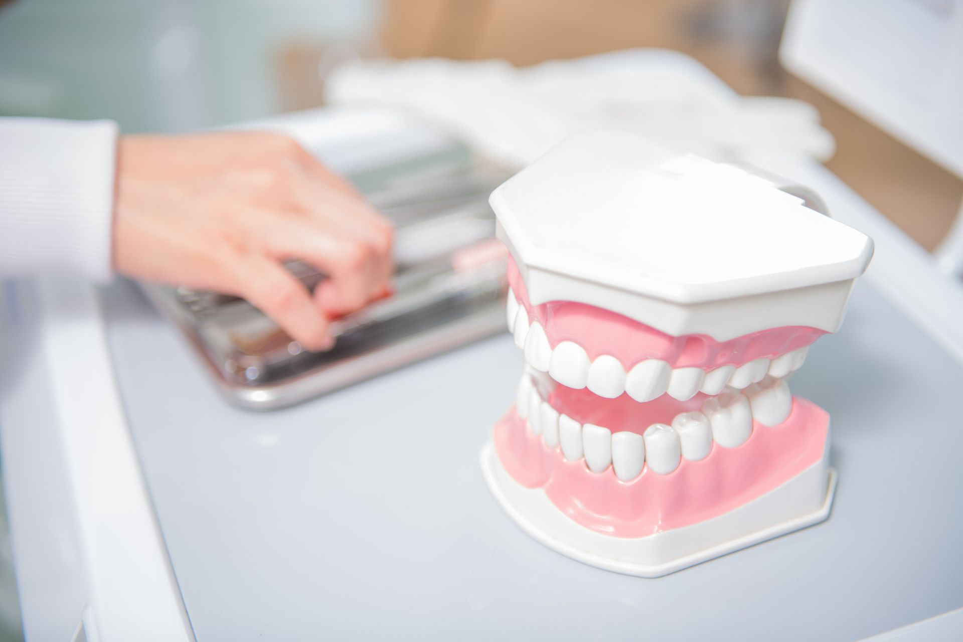 Teeth Model In Dental Clinic — Mermaid Waters, QLD — Gold Coast Dental & Denture Centre