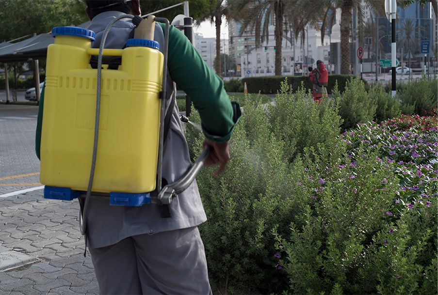 Un hombre está rociando plantas con un rociador amarillo