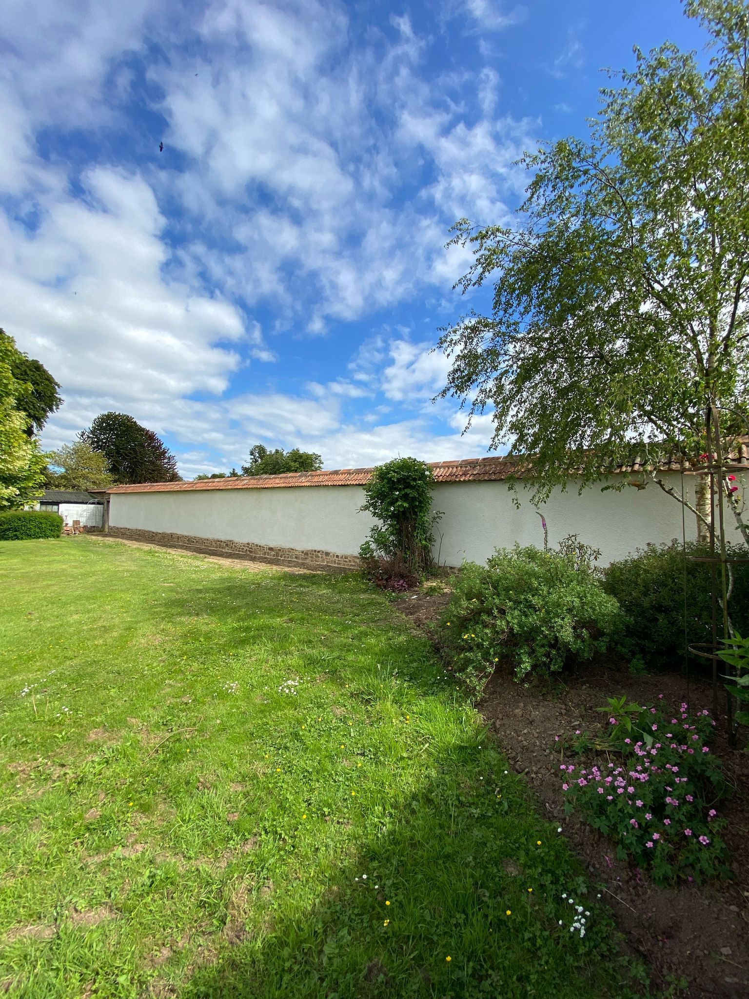A large grassy field with a white wall in the background.