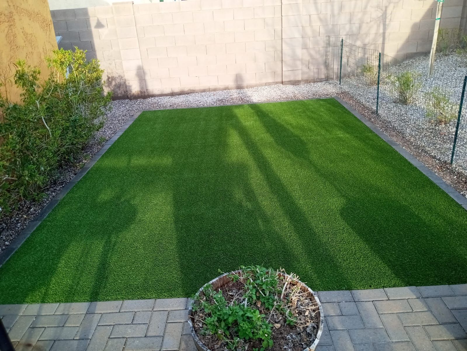 A lawn with a potted plant in the middle of it.