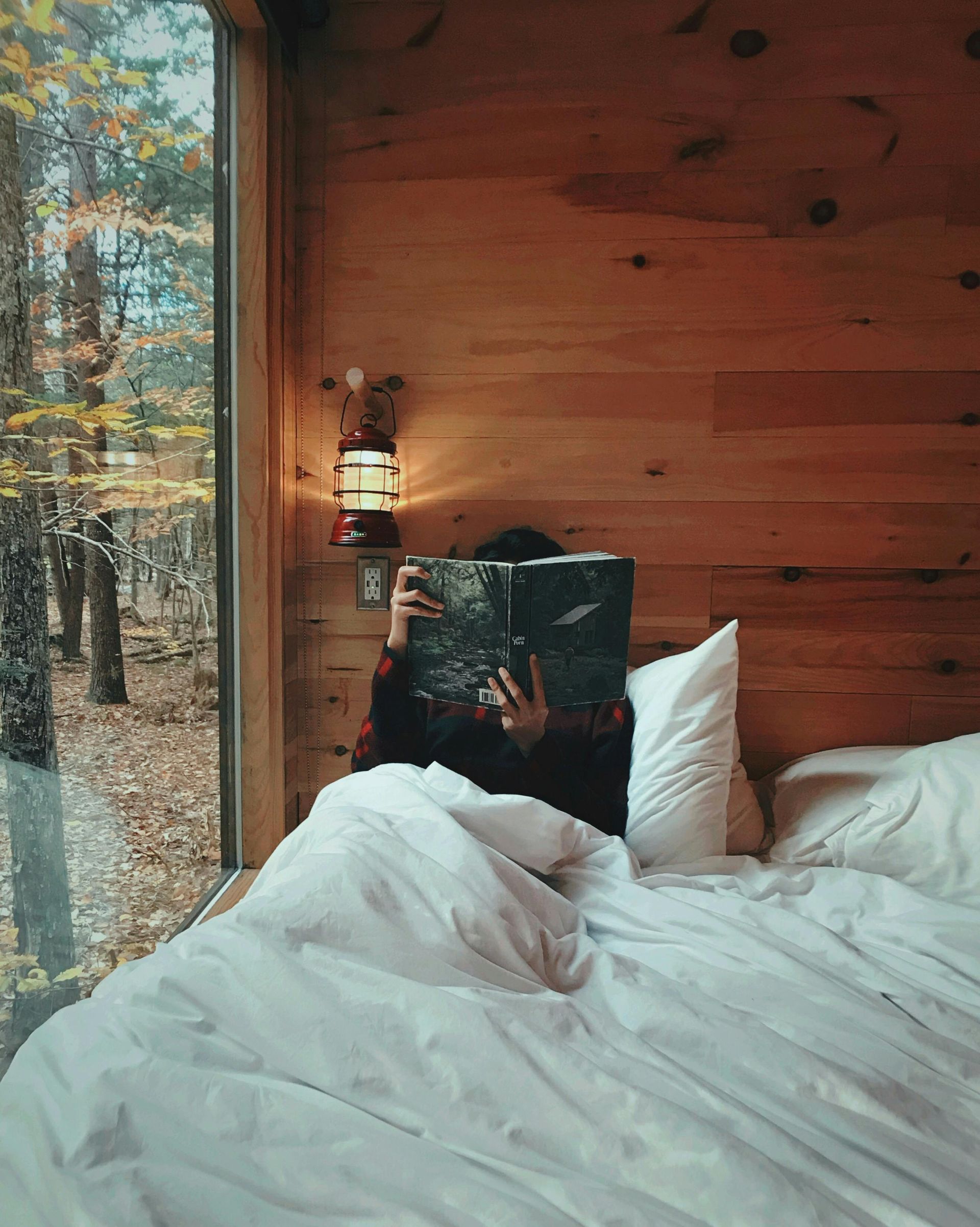 Person in bed reading a book, near a large window overlooking a forest. Interior is wood-paneled, cozy.