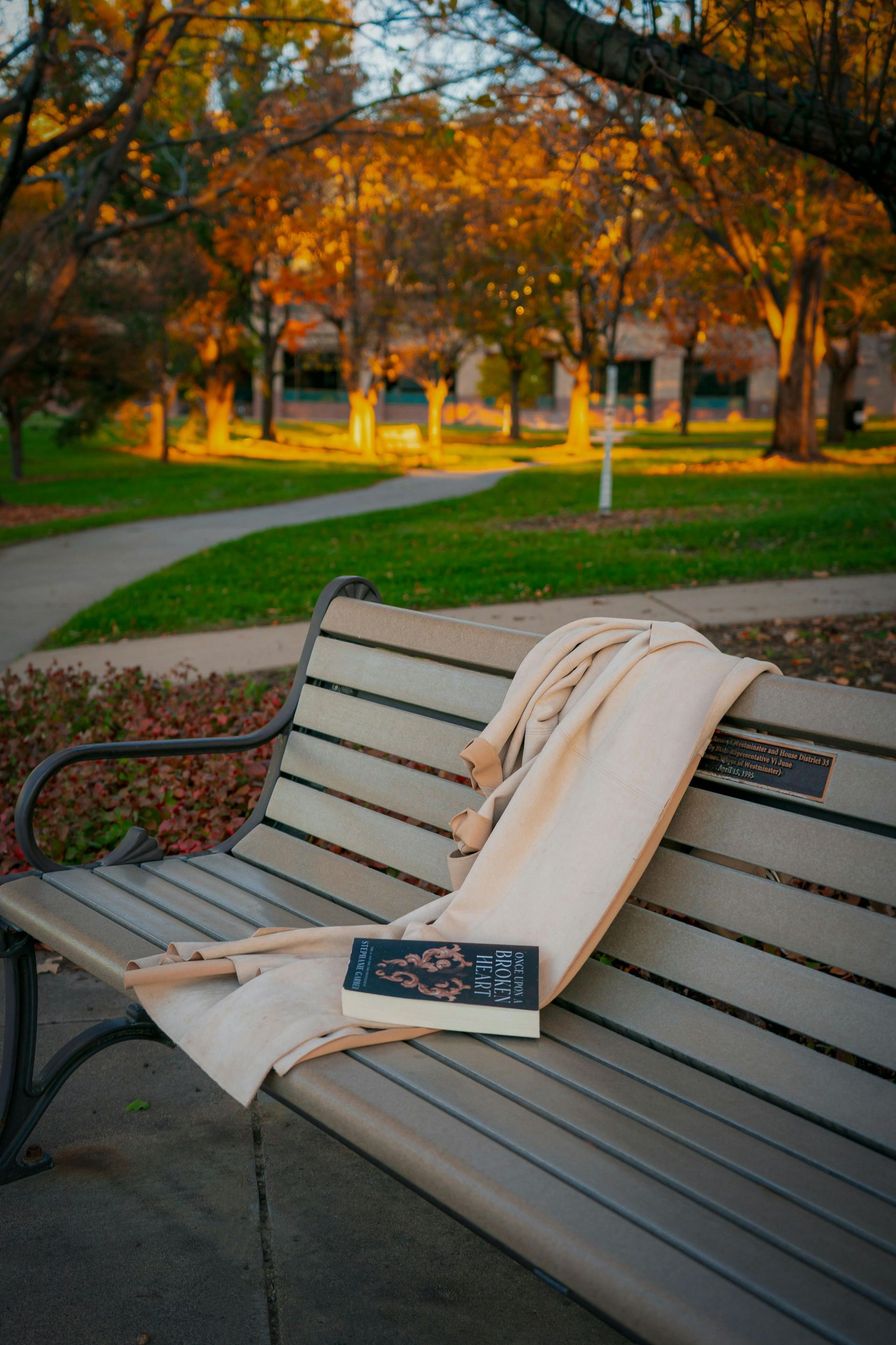 Bench with open book and draped scarf in a park setting with fall foliage.