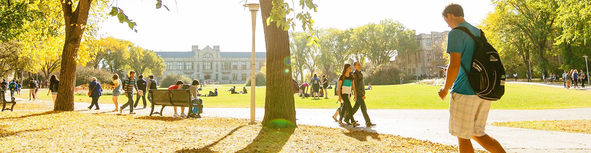 Order Official Frames