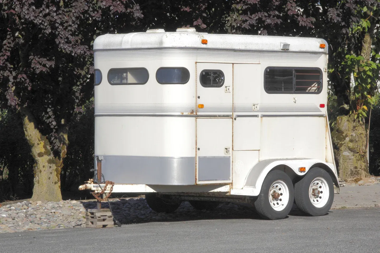 White horse trailer with two axles parked on a road, surrounded by trees.