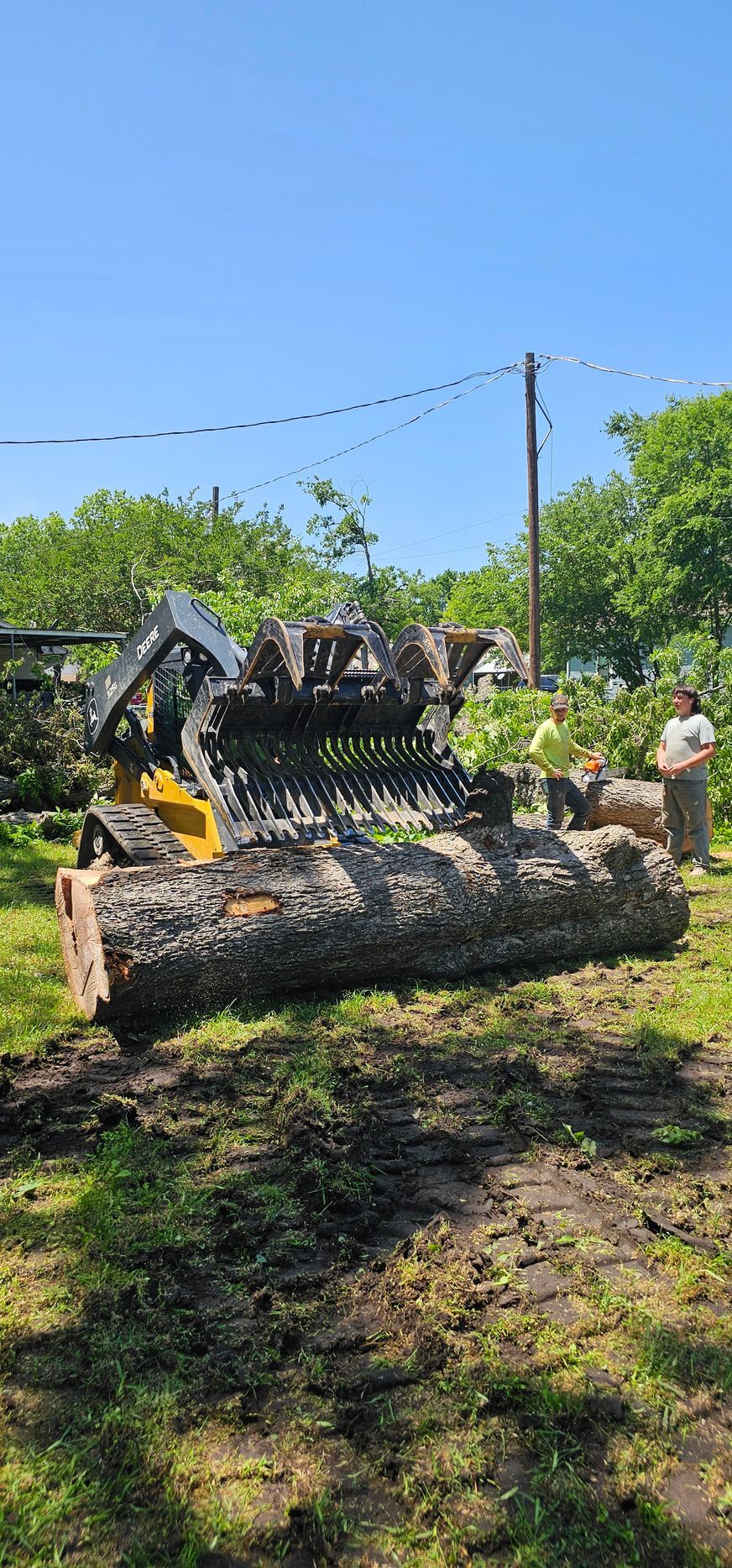 A tree service in Canton, TX by Rockin' A Timber