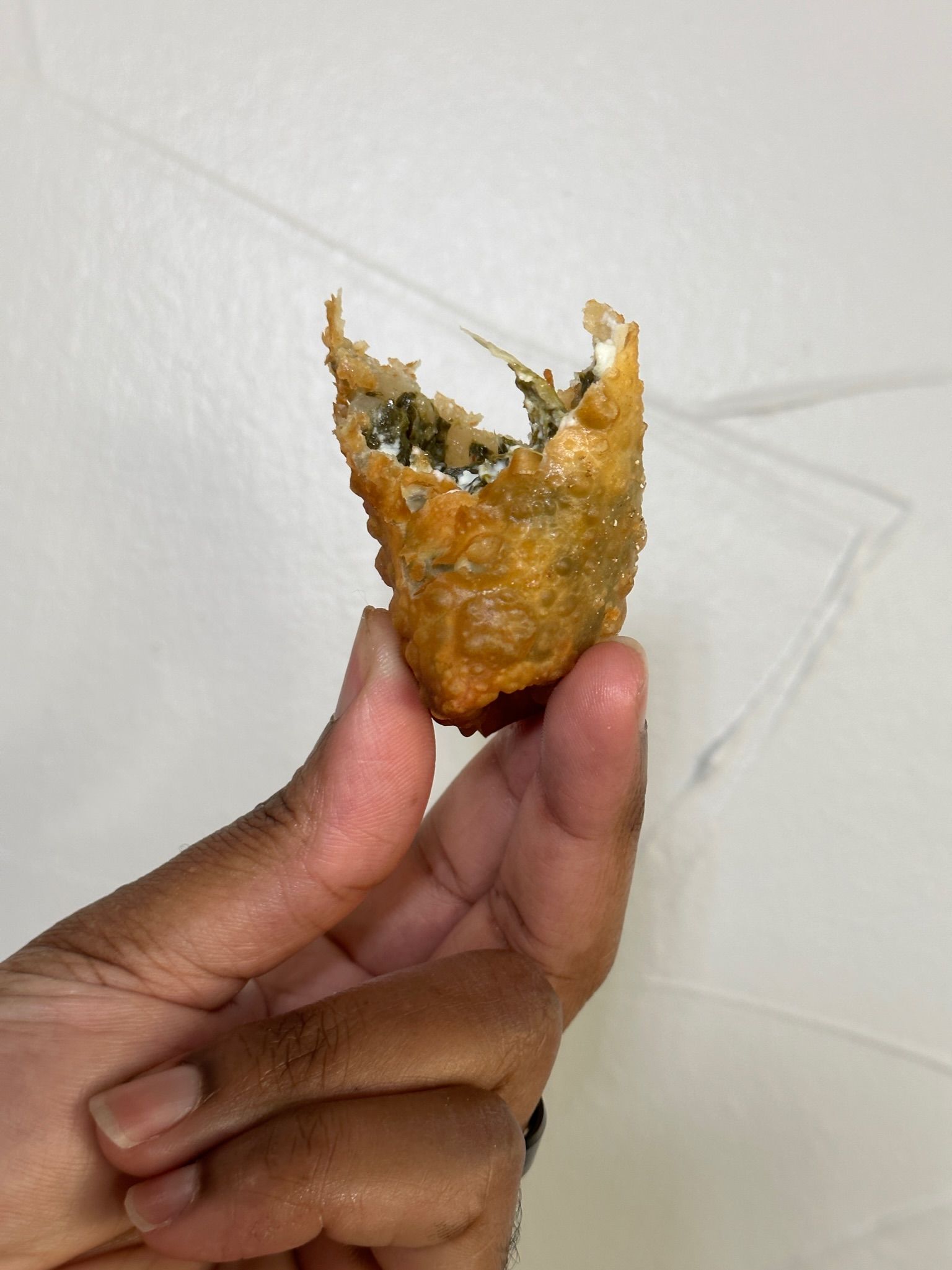 A person is holding a fried food item with a bite taken out of it