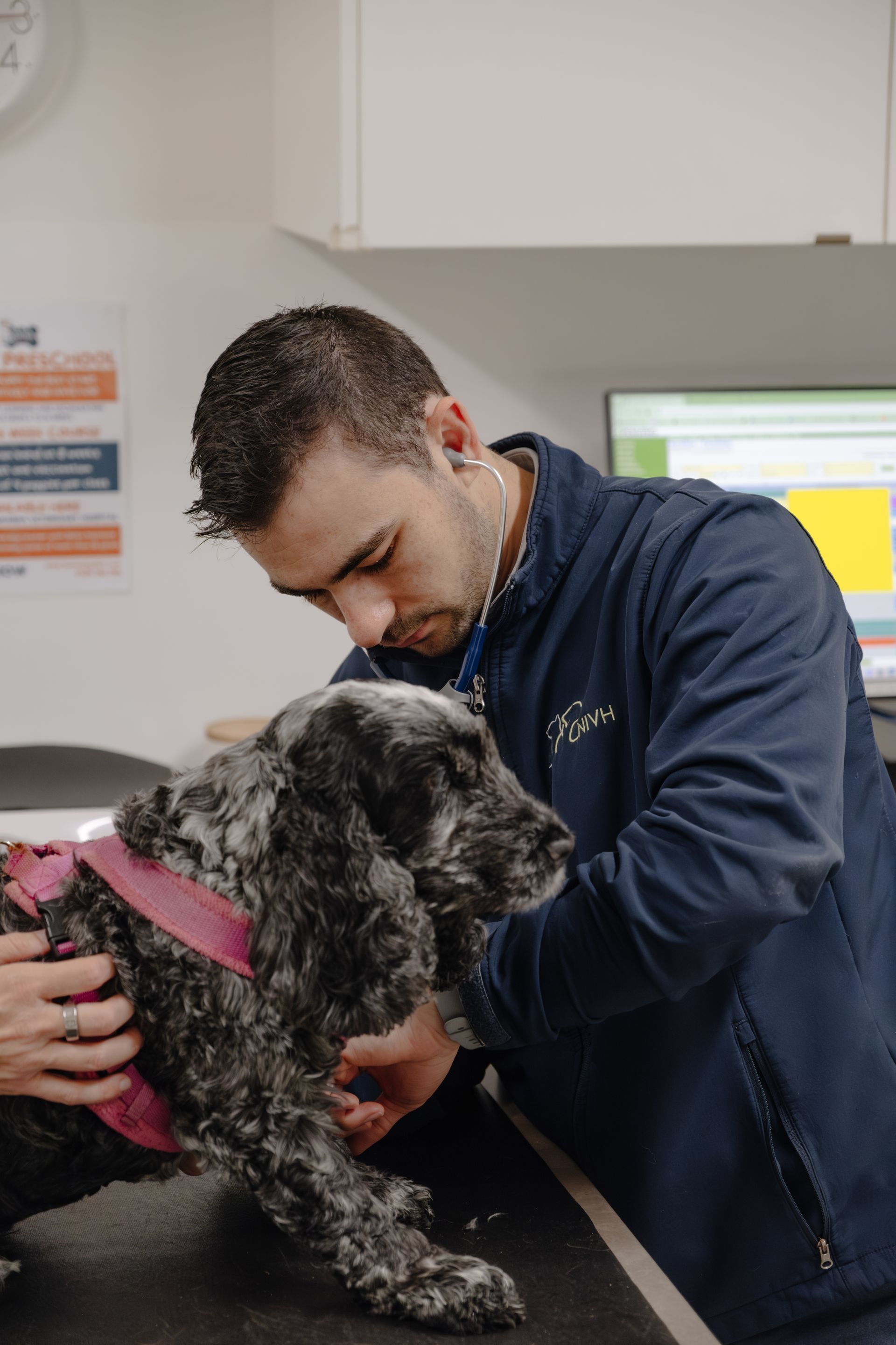 Woman is Holding a White cat in her arms in Front of a Cage — Northern Illawarra Veterinary Hospital