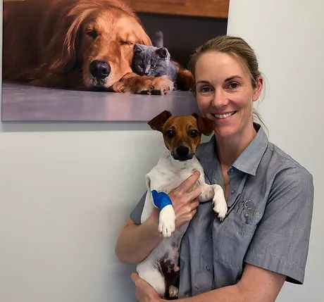 Dr Sarah Anderson — Northern Illawarra Veterinary Hospital