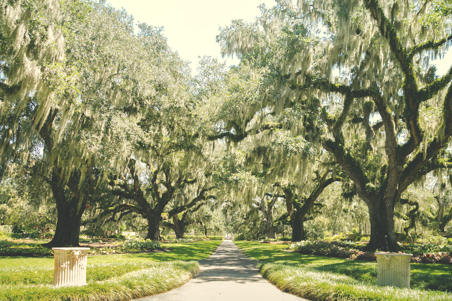 sidewalk of Brookgreen Gardens