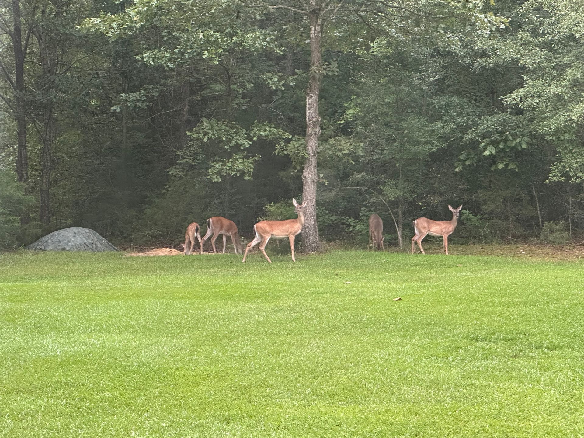 roof damage repair columbia sc