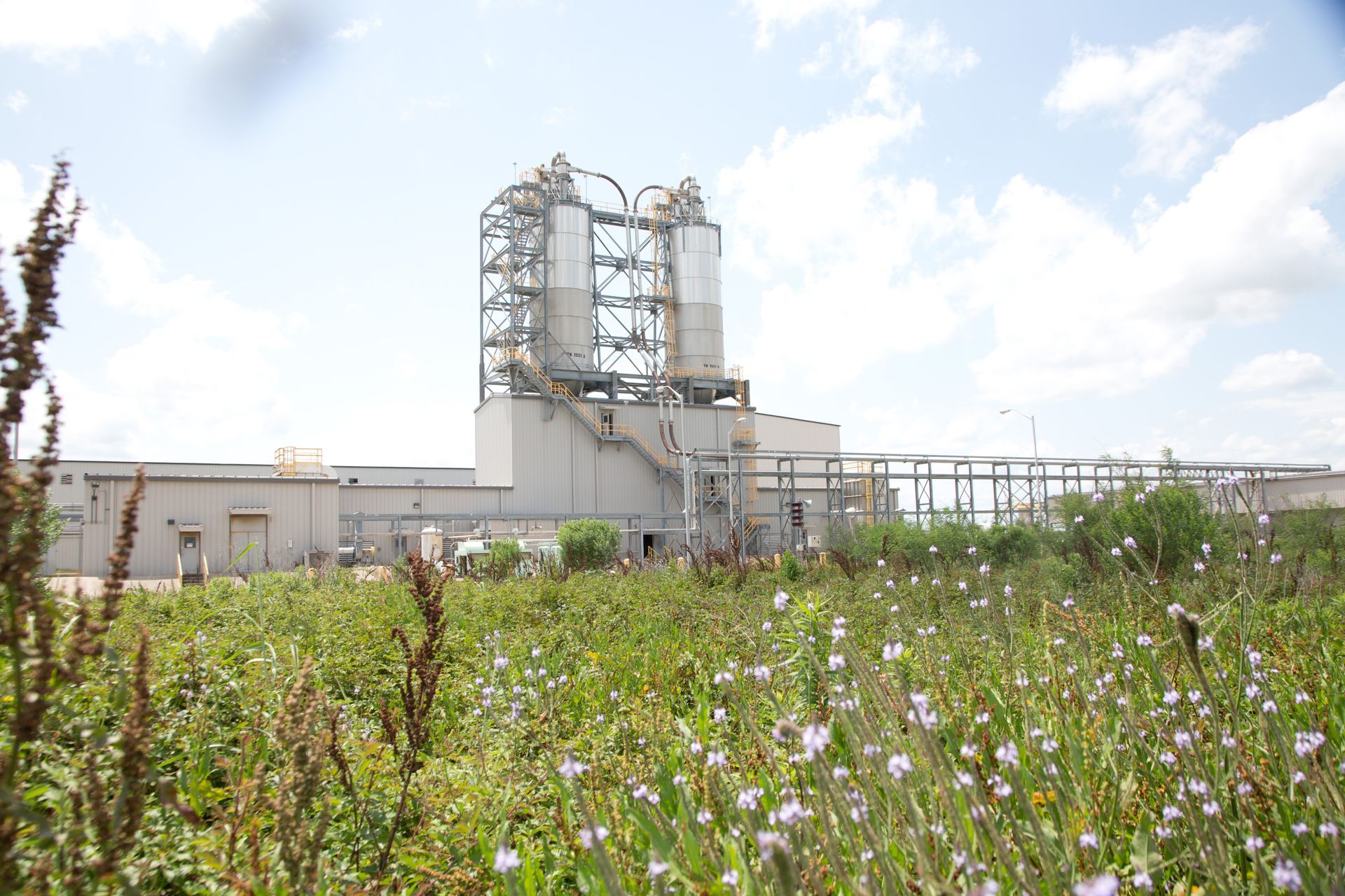 environmental policy