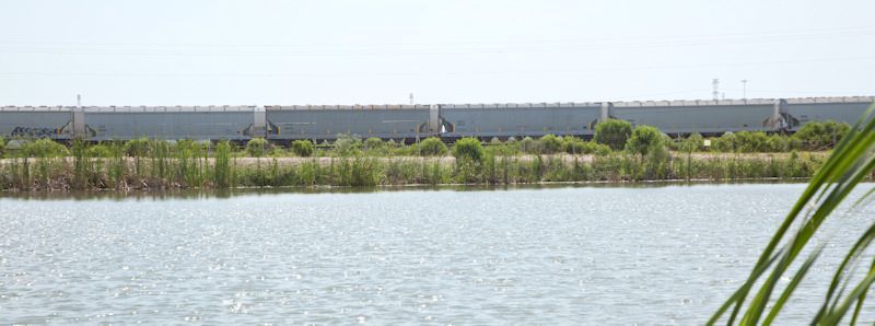 Environment Steward