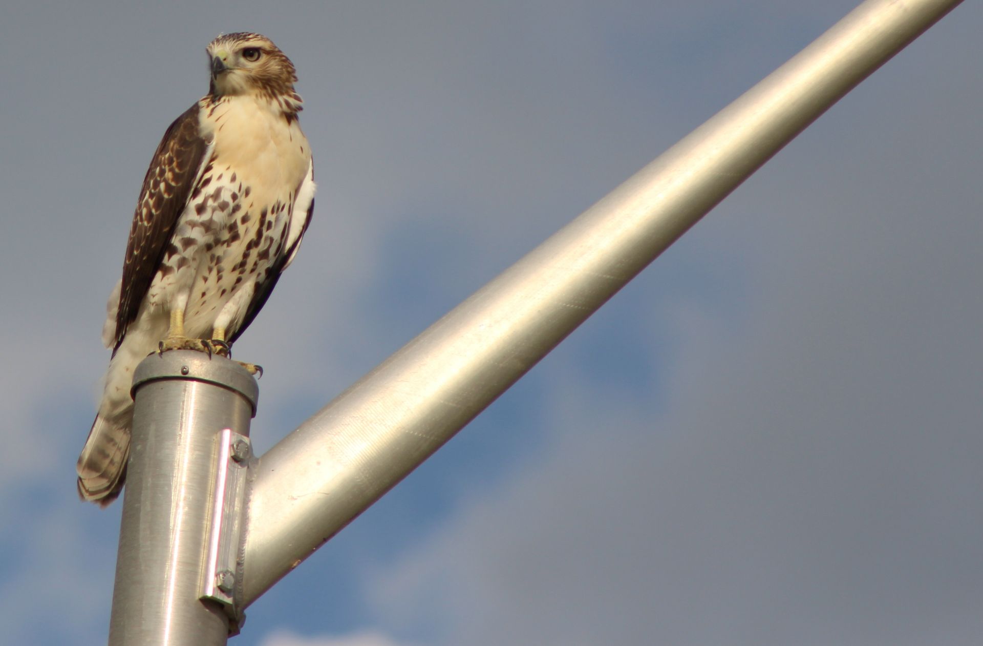 wildlife habitat photograph