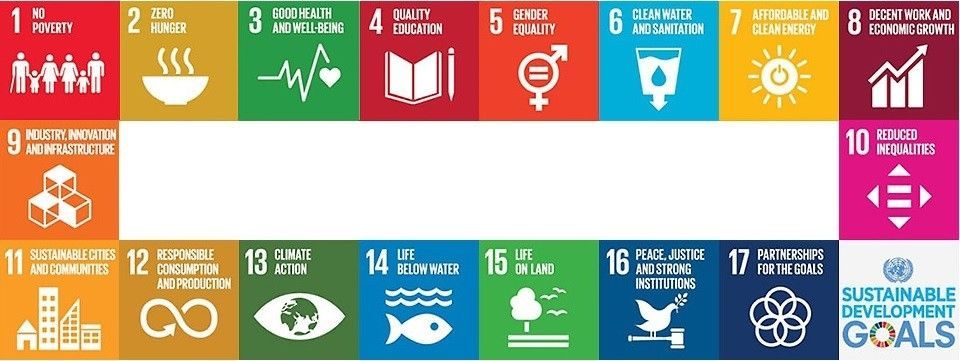 shintechs contribution to the un's sustainable development goals