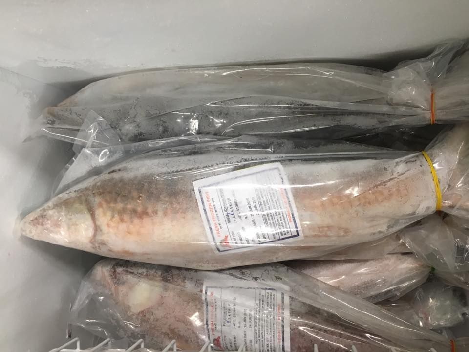 A Bunch Of Fish Are Sitting In A Plastic Bag In A Freezer — Suhana Butcher & Grocery Shop In Millner, NT