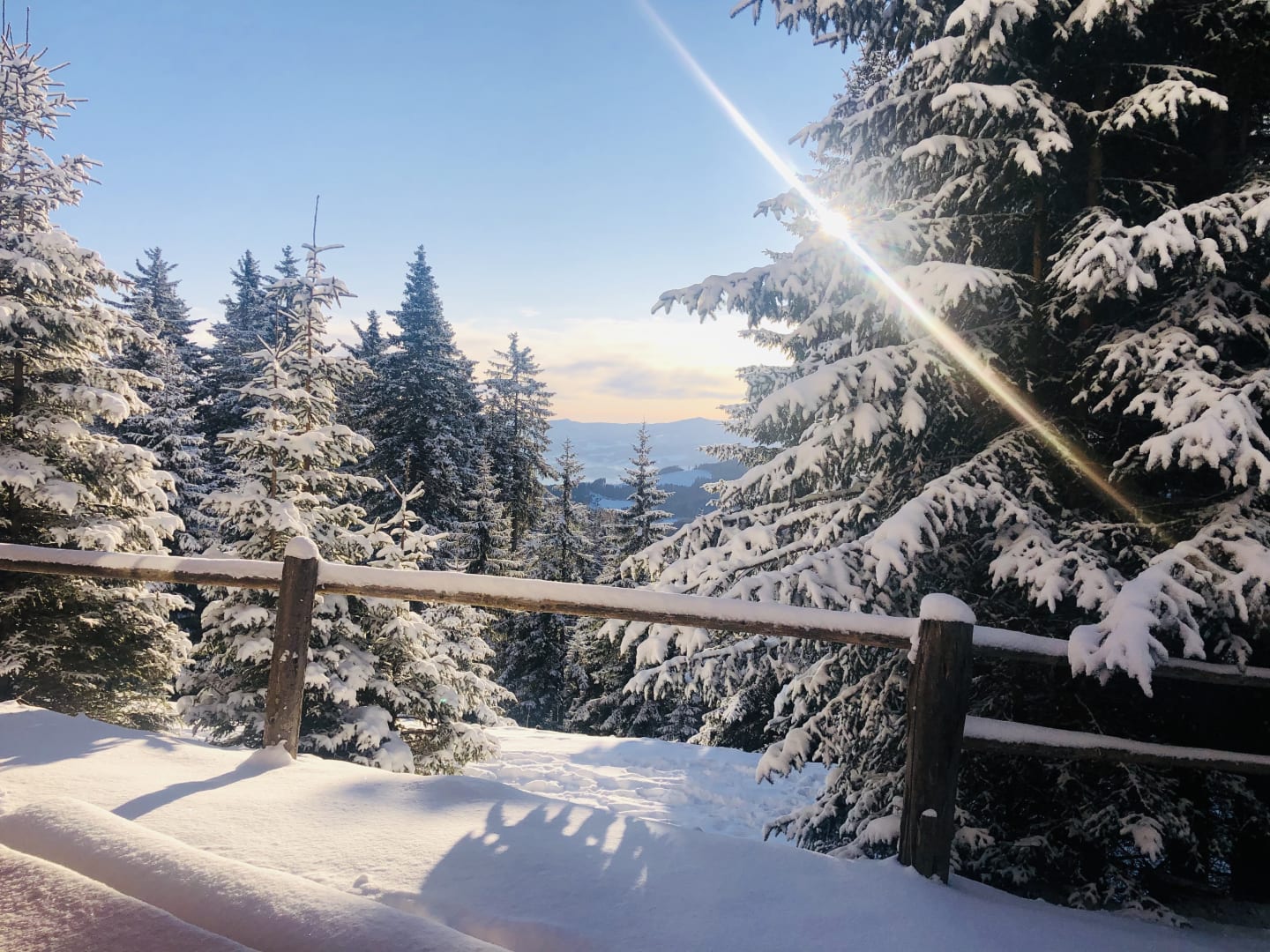 Aussicht im Winter von der Hütte