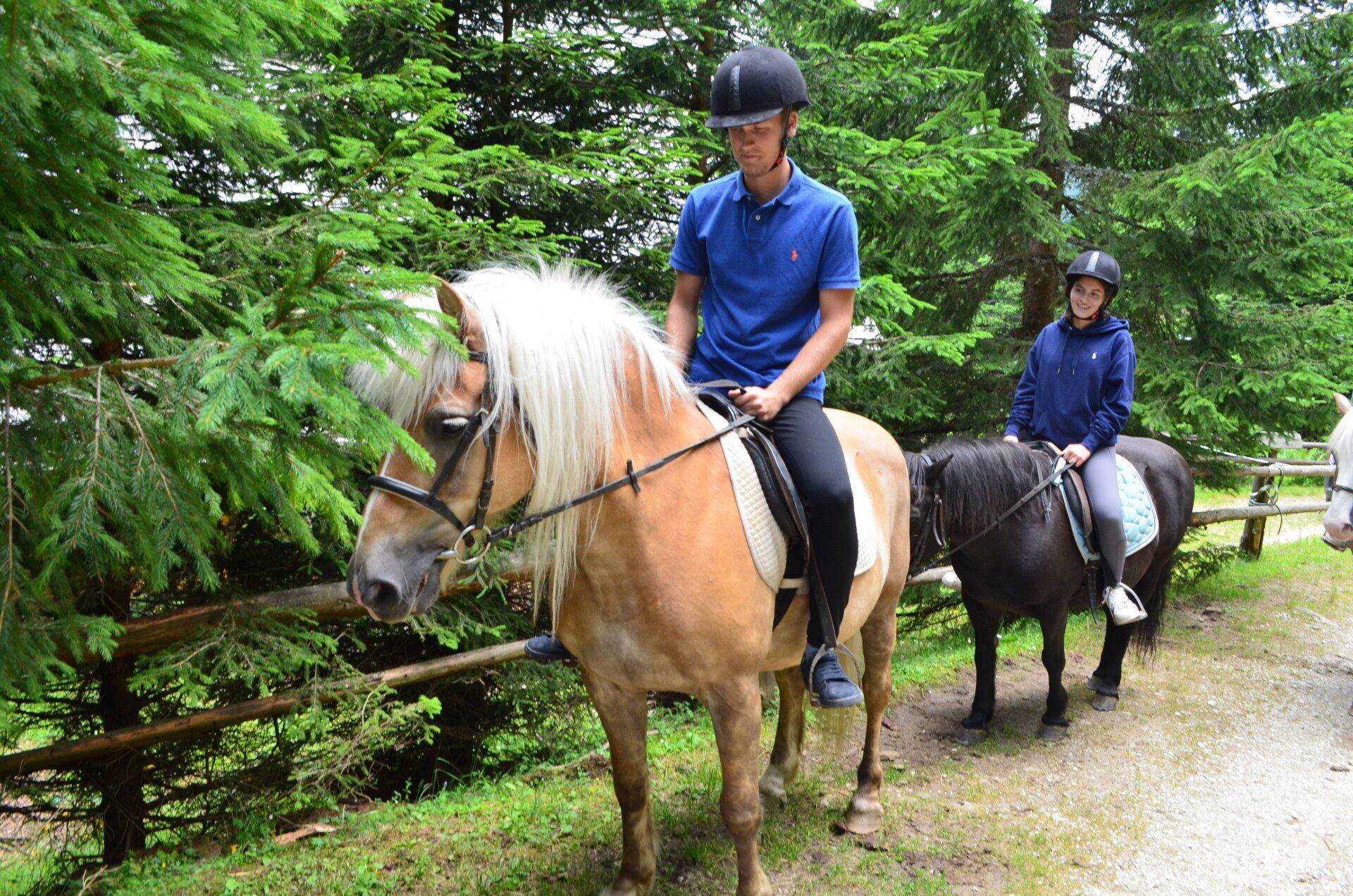 Ausritt auf Haflingern