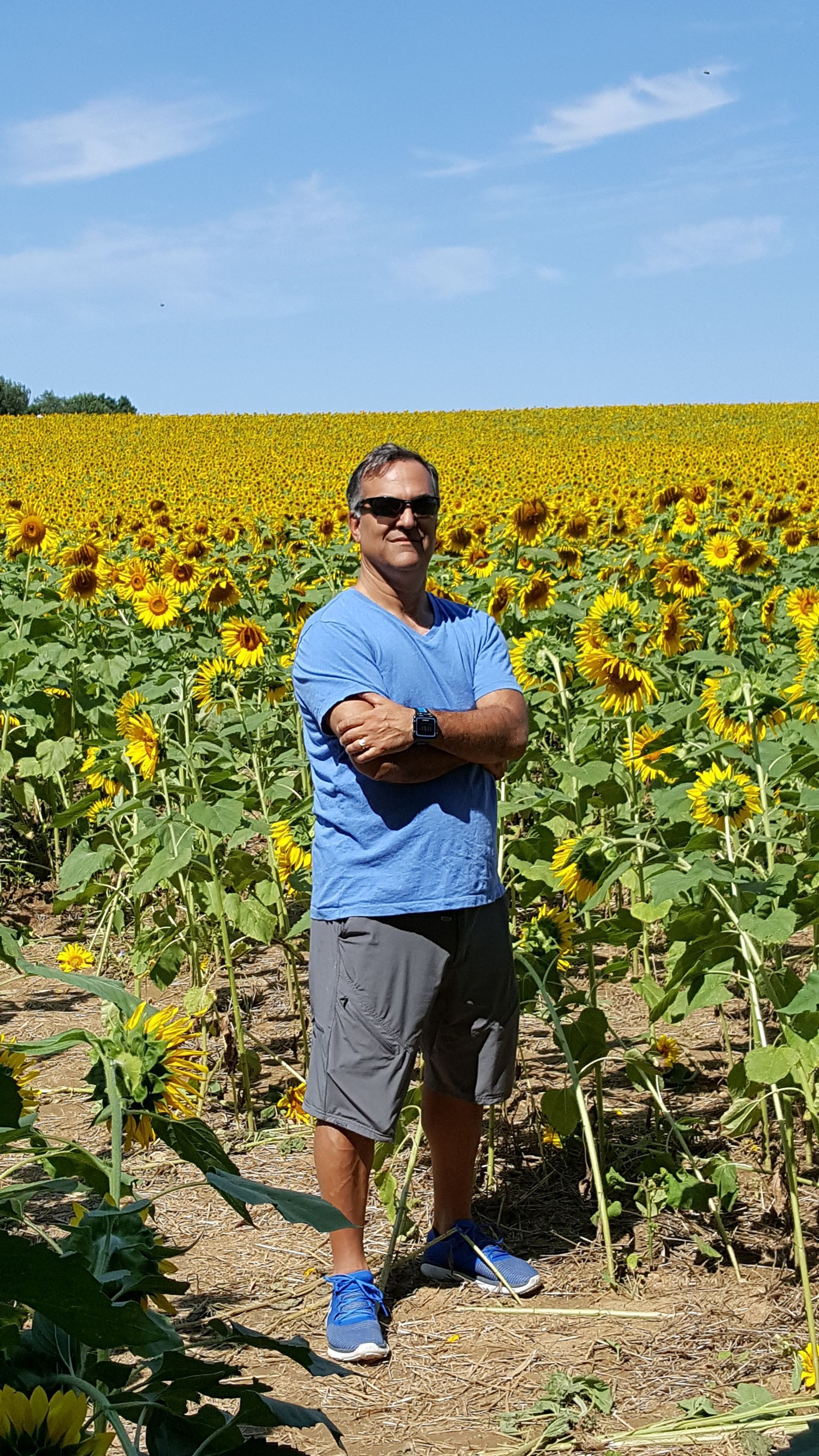 A man is standing in a field of sunflowers with his arms crossed.