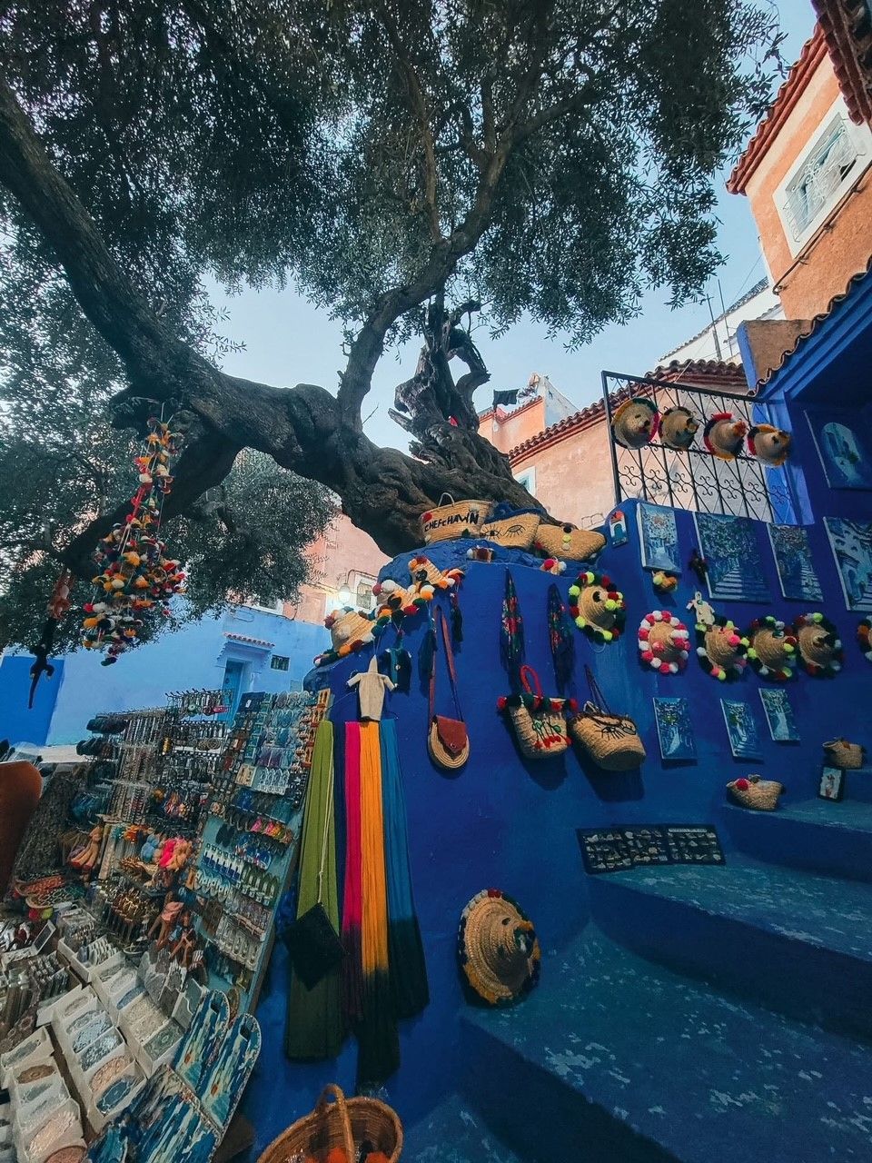 A tree is hanging over a display of souvenirs in front of a blue building.