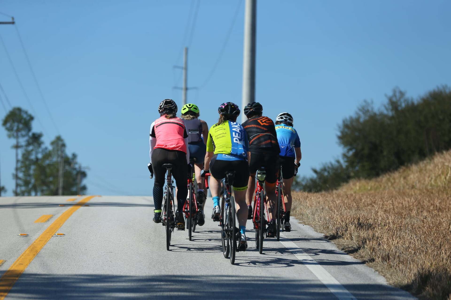 A group of people are riding bicycles down a road.