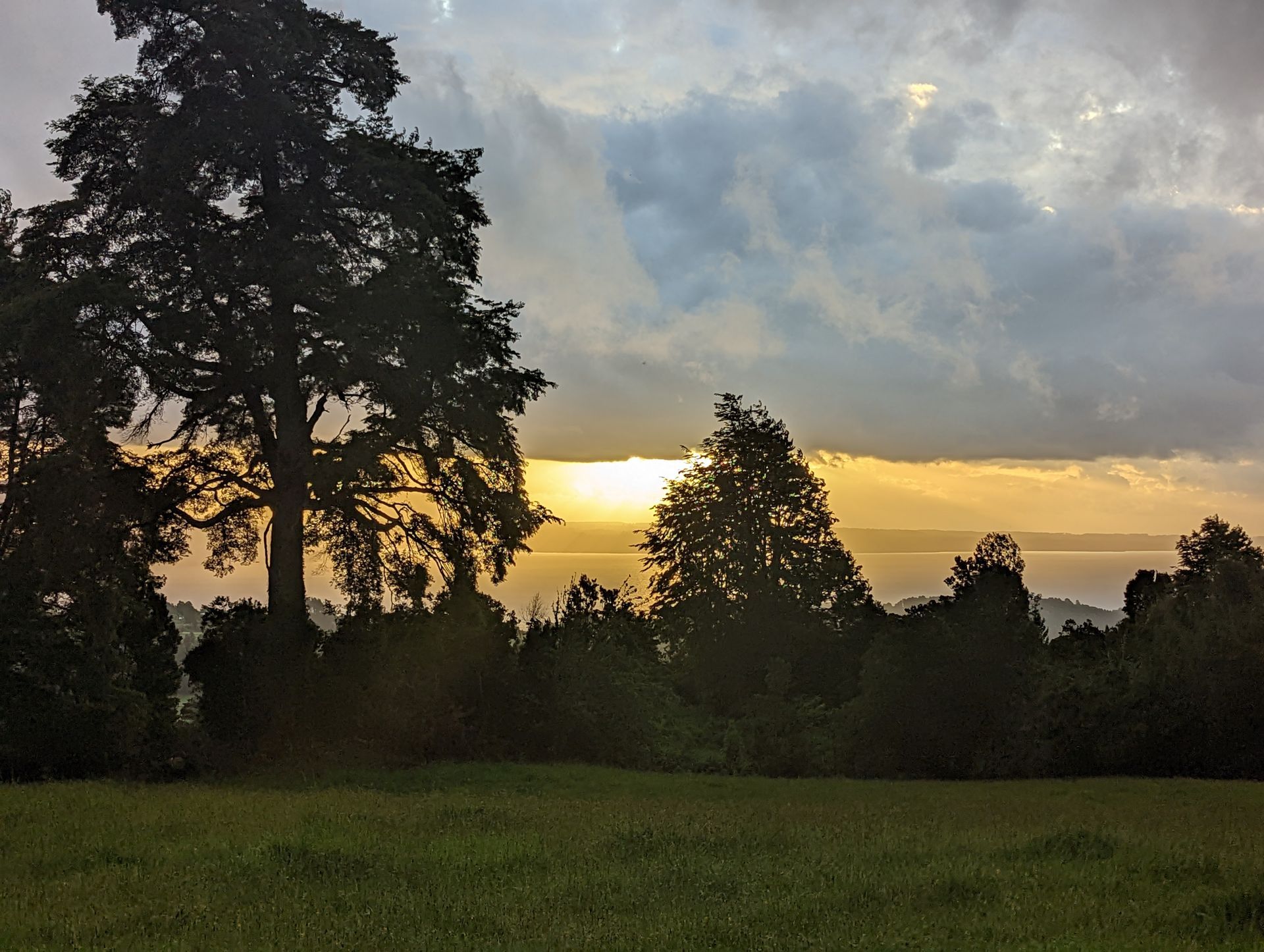 A sunset over a grassy field with trees in the foreground