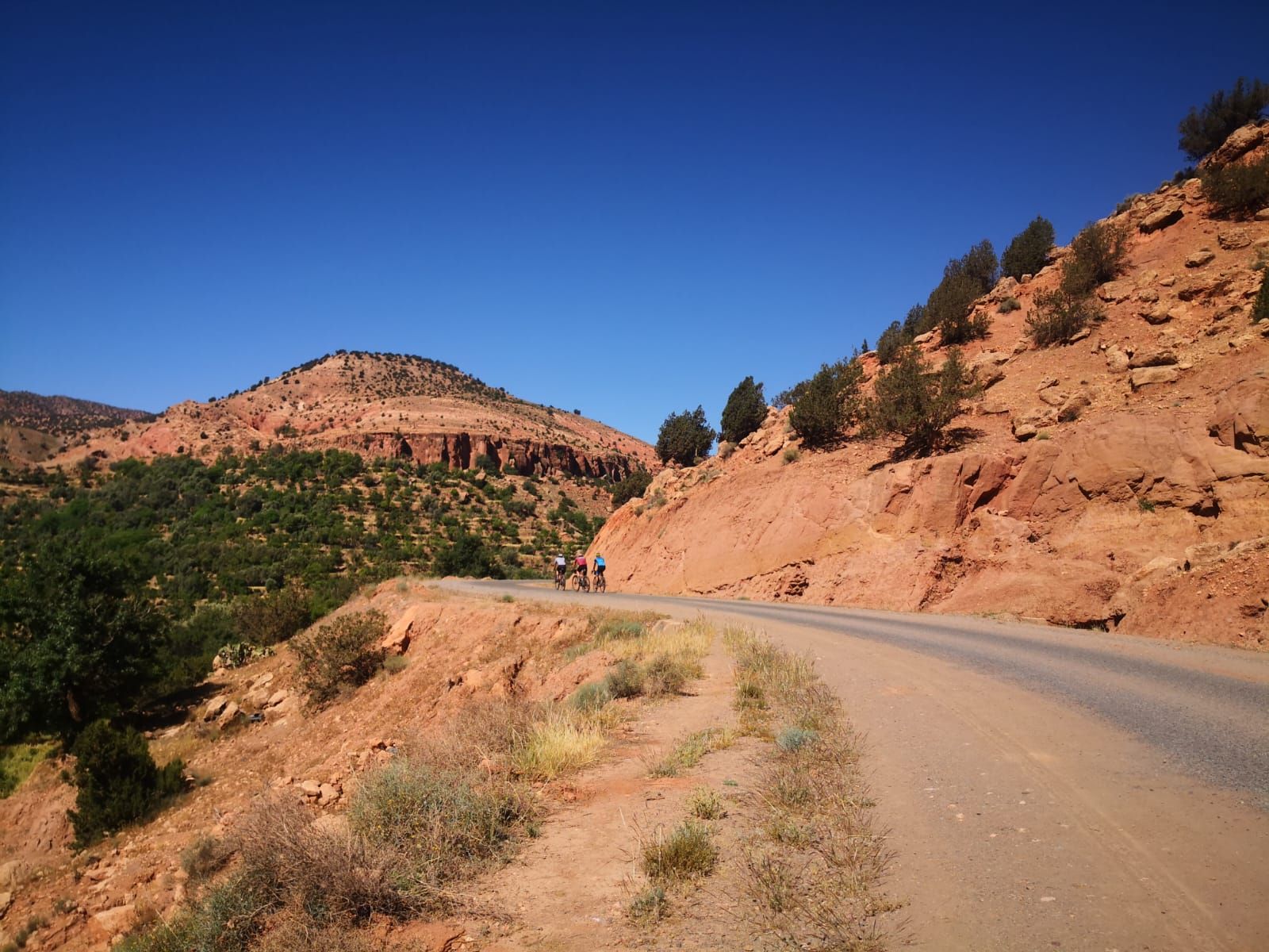 A group of people are riding bikes down a dirt road.