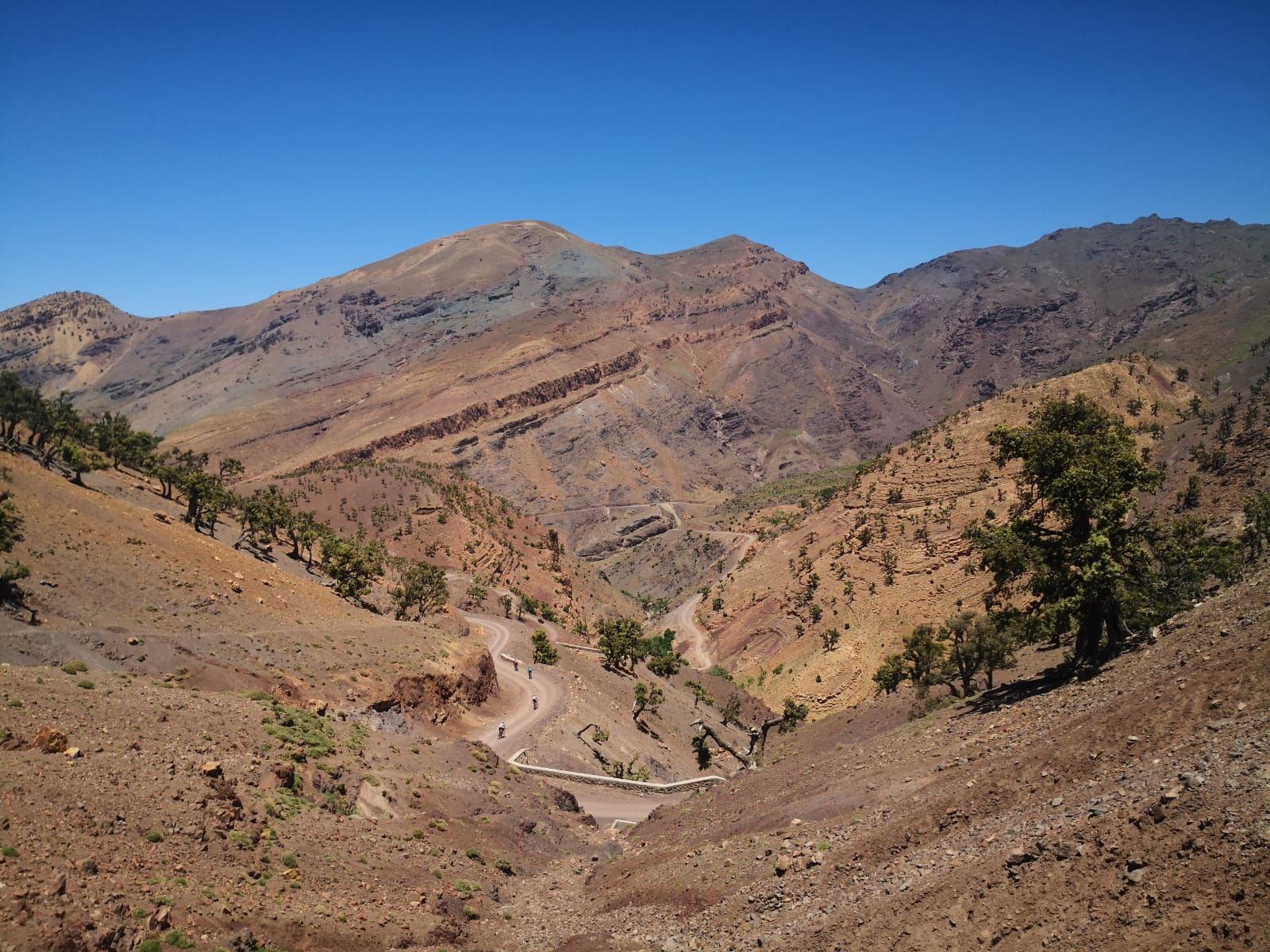 A desert landscape with mountains and trees in the foreground
