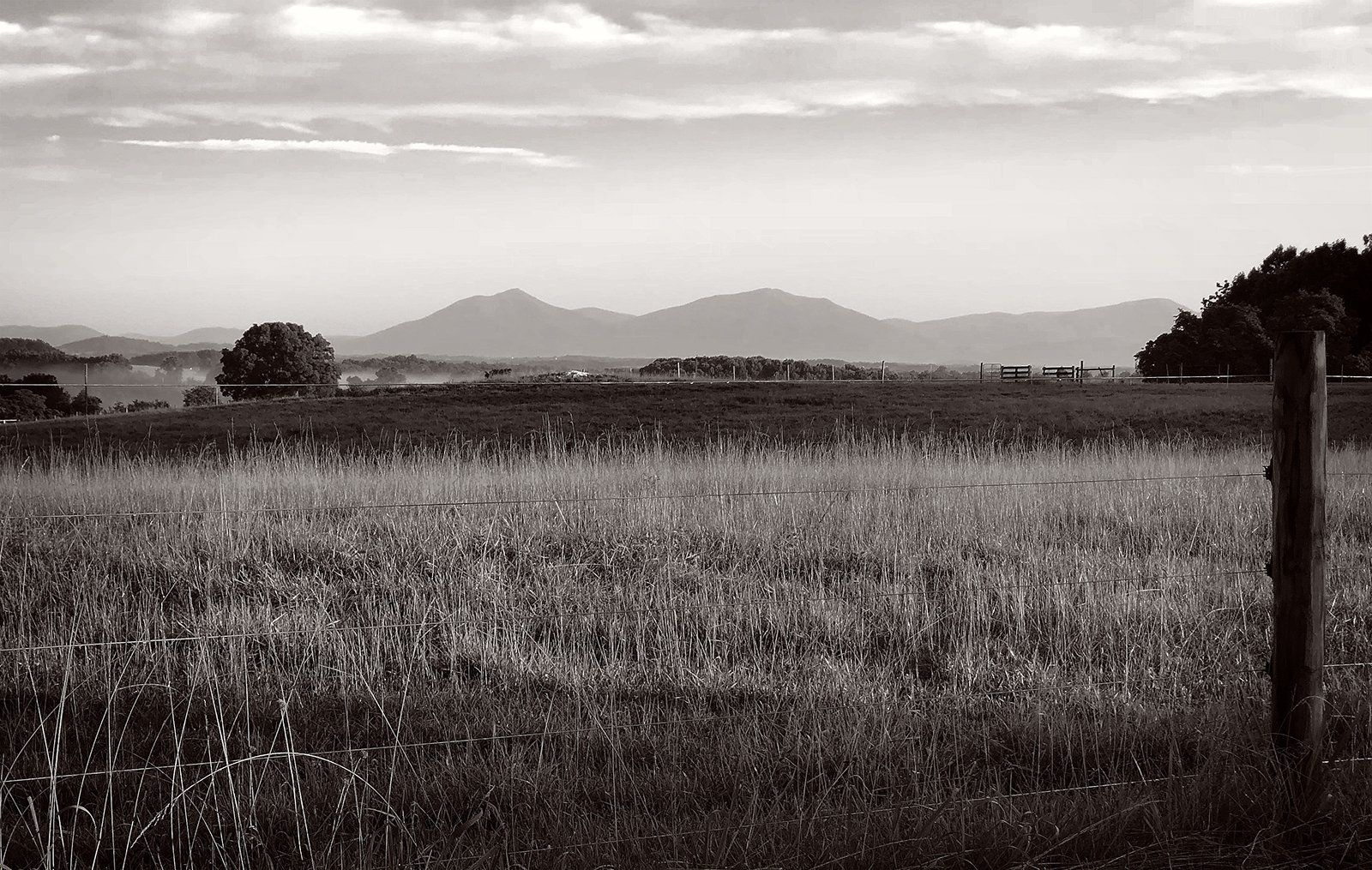 A black and white photo of a field with mountains in the background