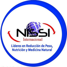 Logo Nissi Internacional