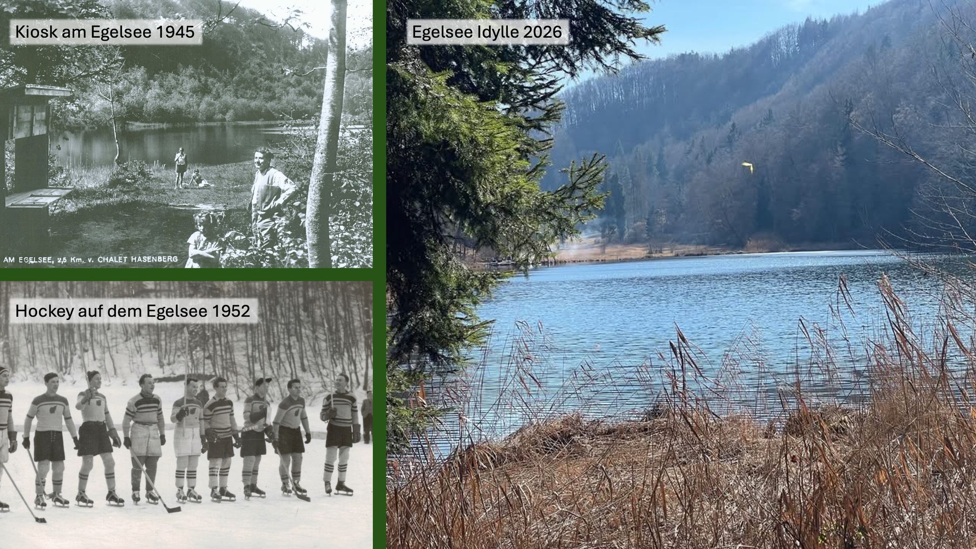 Gesellschaftliche Nutzung, ökologische Veränderungen, Naturschutz,