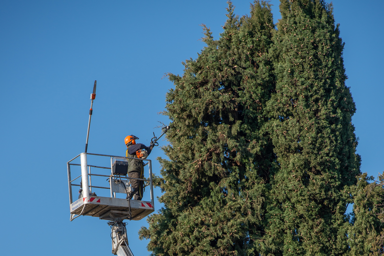 A man is cutting a tree on a lift.