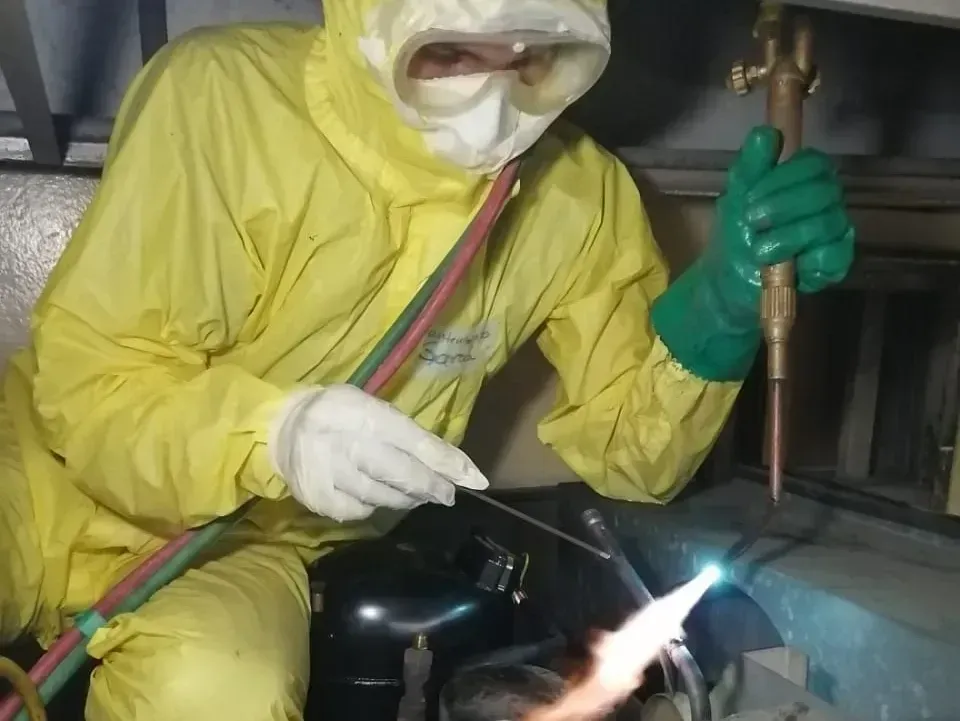 Una persona con cabello largo y castaño mira hacia arriba con una leve sonrisa, con las manos juntas bajo la barbilla.