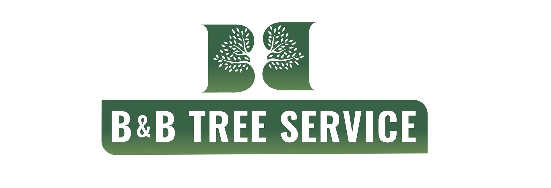 Website Social Media Near Me