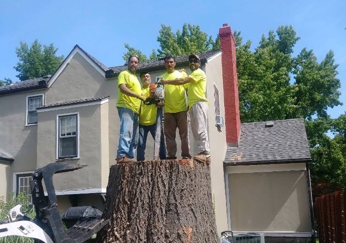 B&B tree Service Experience