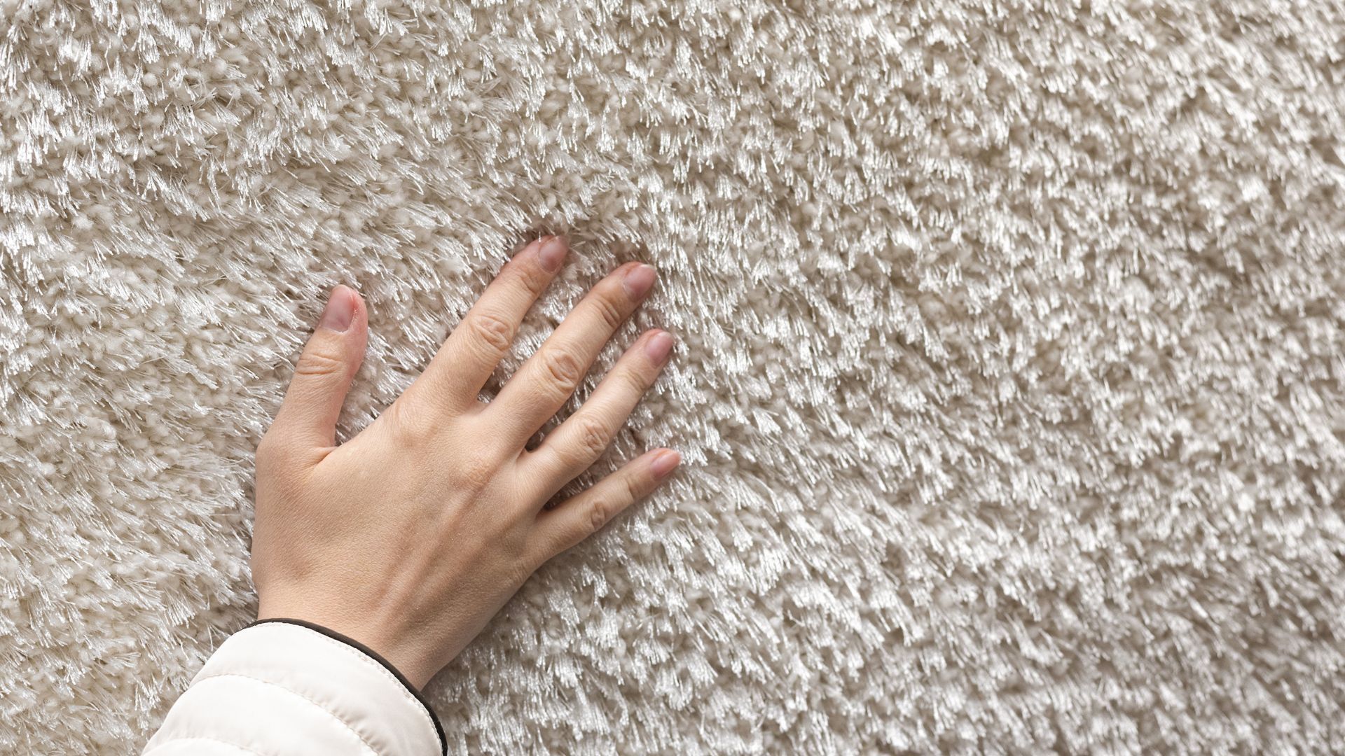 Hand touching a plush, white carpet.