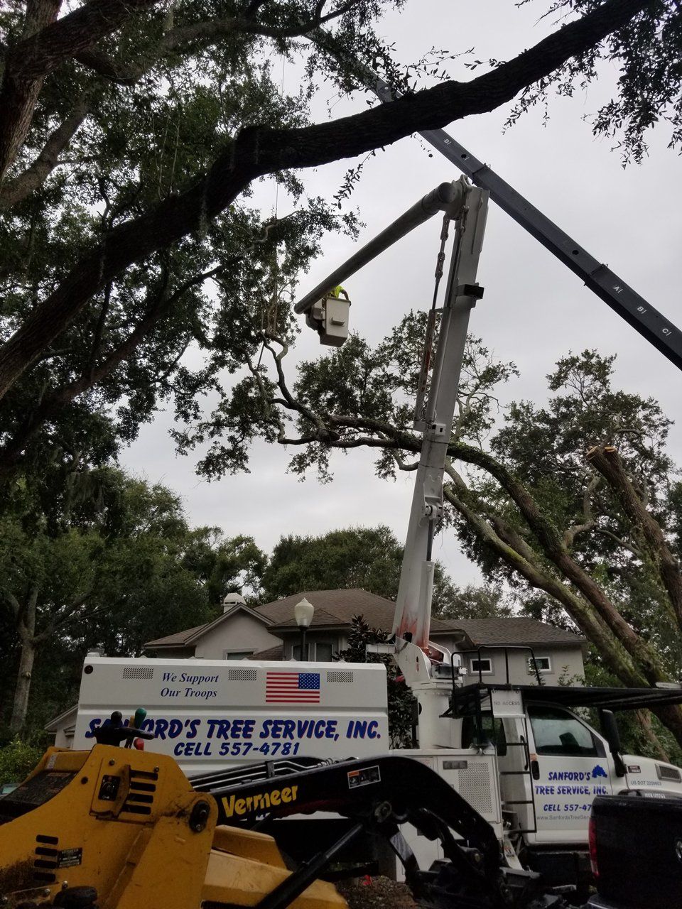 Stump Removal Jacksonville, FL & Fernandina Beach, FL Sanford’s
