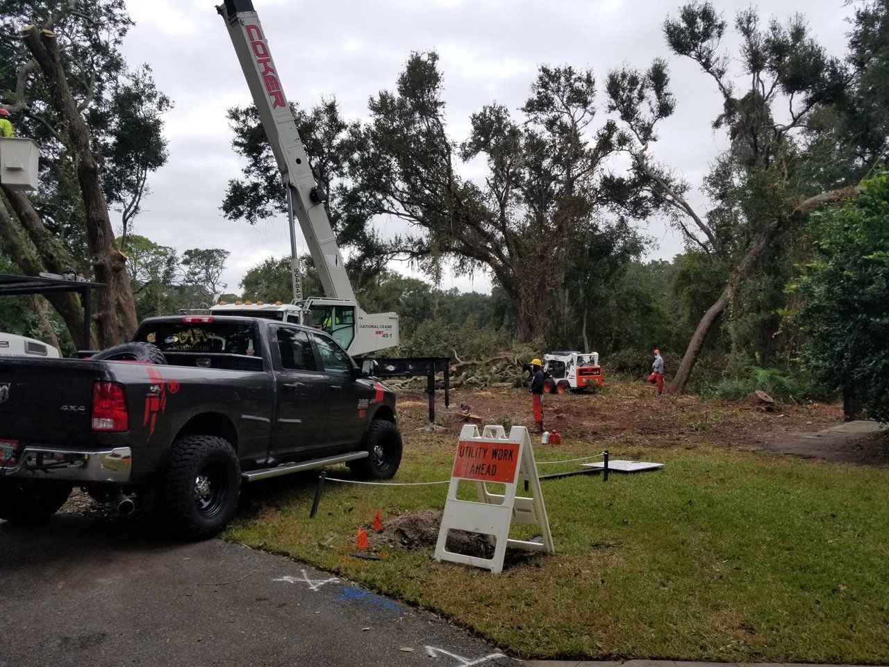 Stump Removal Jacksonville, FL & Fernandina Beach, FL Sanford’s