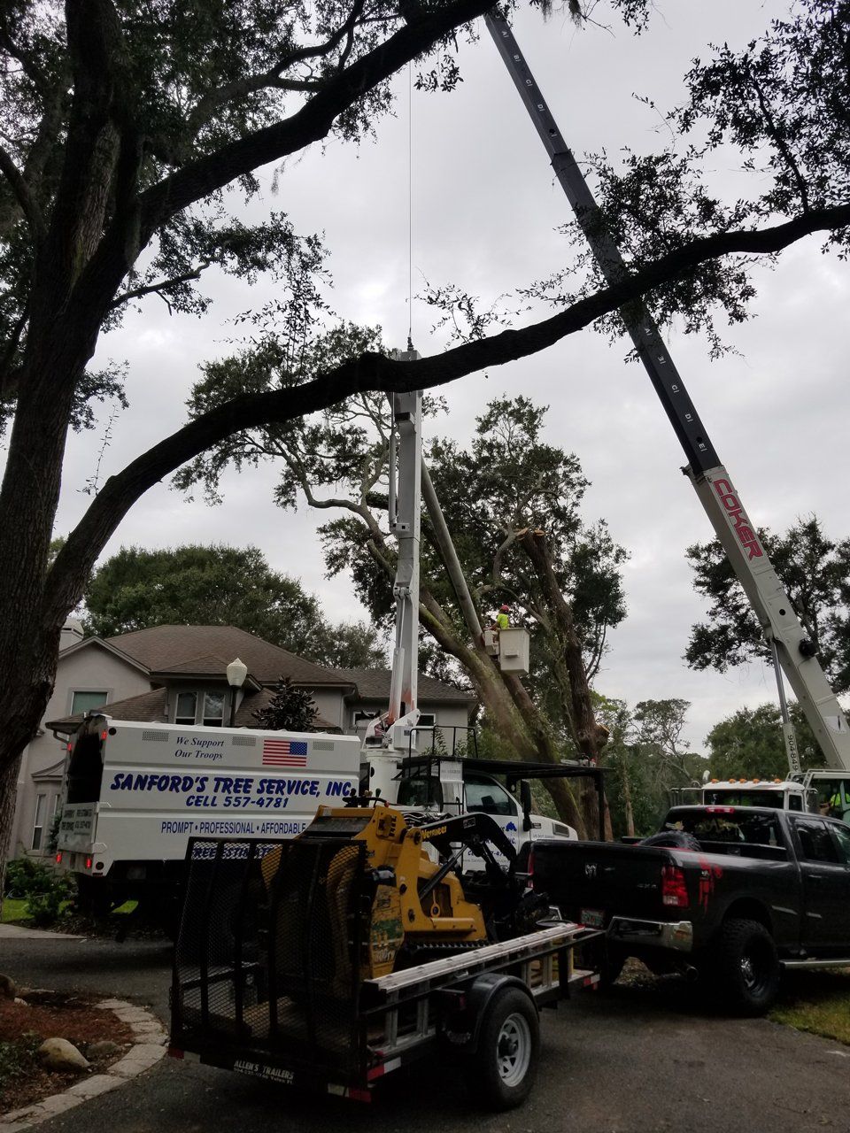 Stump Removal Jacksonville, FL & Fernandina Beach, FL Sanford’s
