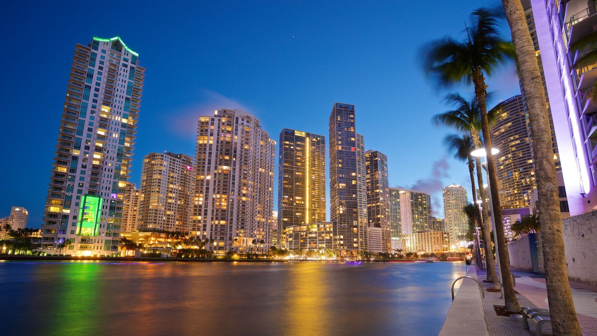 A city skyline at night with palm trees in the foreground
