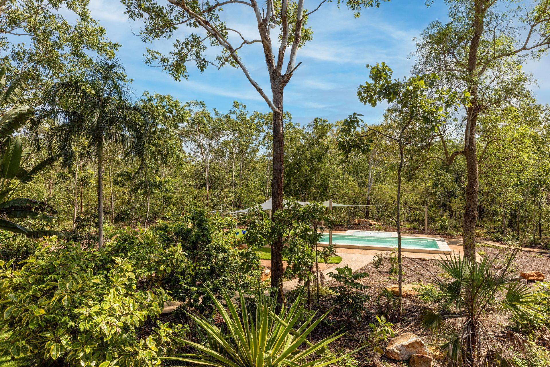 A Swimming Pool Is Surrounded by Trees in The Middle of A Forest — Pooltech NT In Alawa, NT