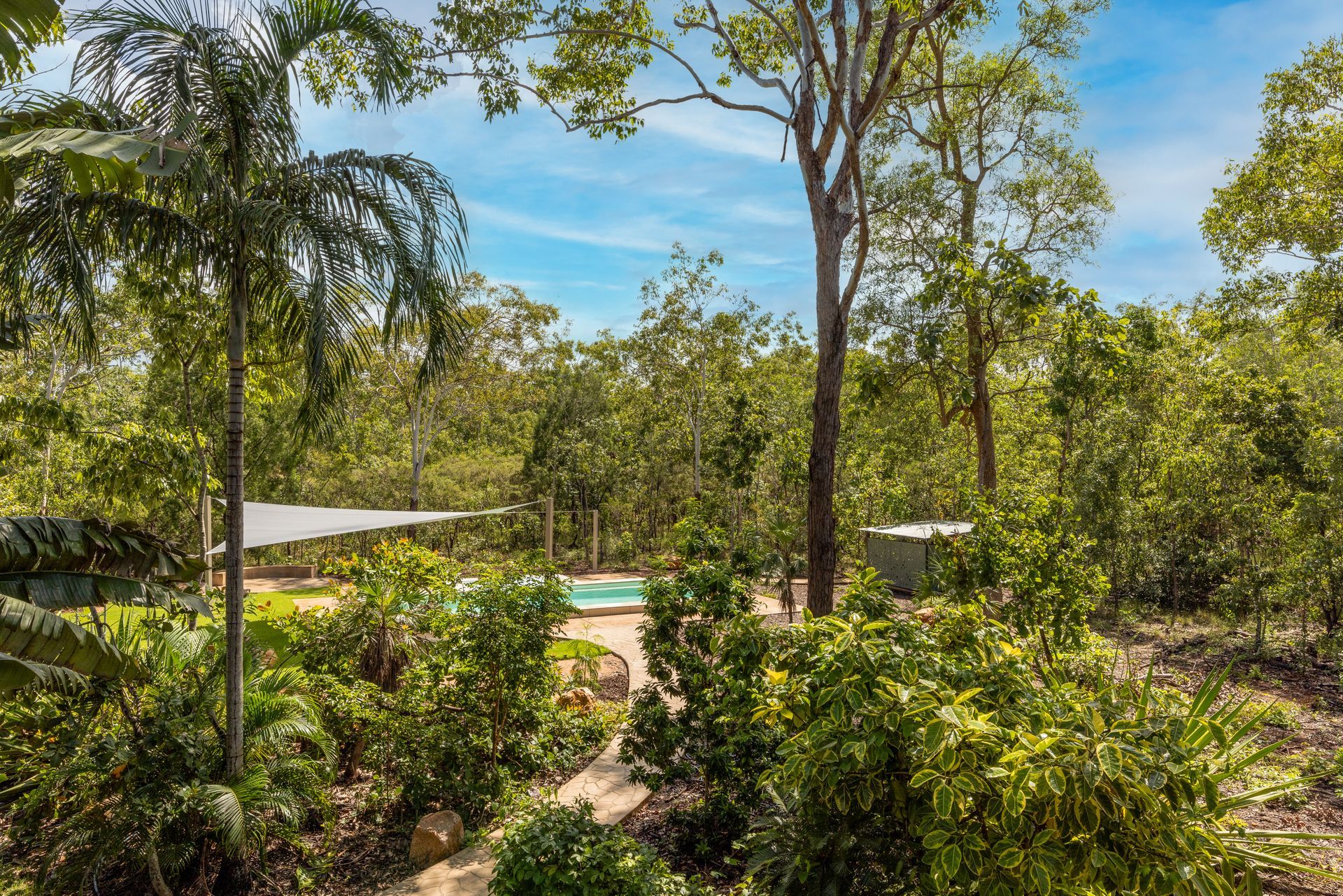 A Swimming Pool Is Surrounded by Trees and Bushes in A Lush Green Forest — Pooltech NT In Alawa, NT