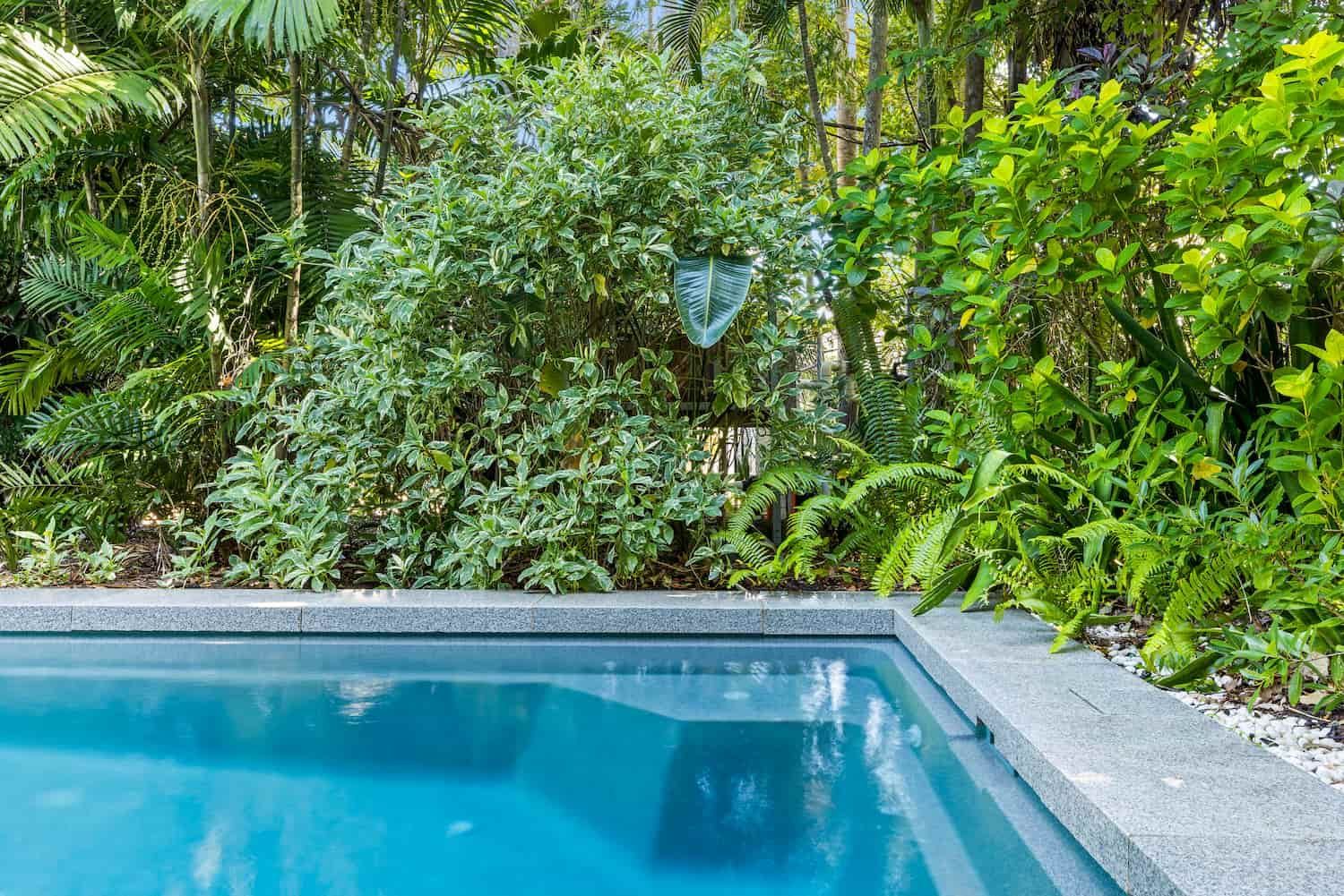 A Swimming Pool Surrounded by Trees and Bushes in a Backyard — Pooltech NT In Alawa, NT